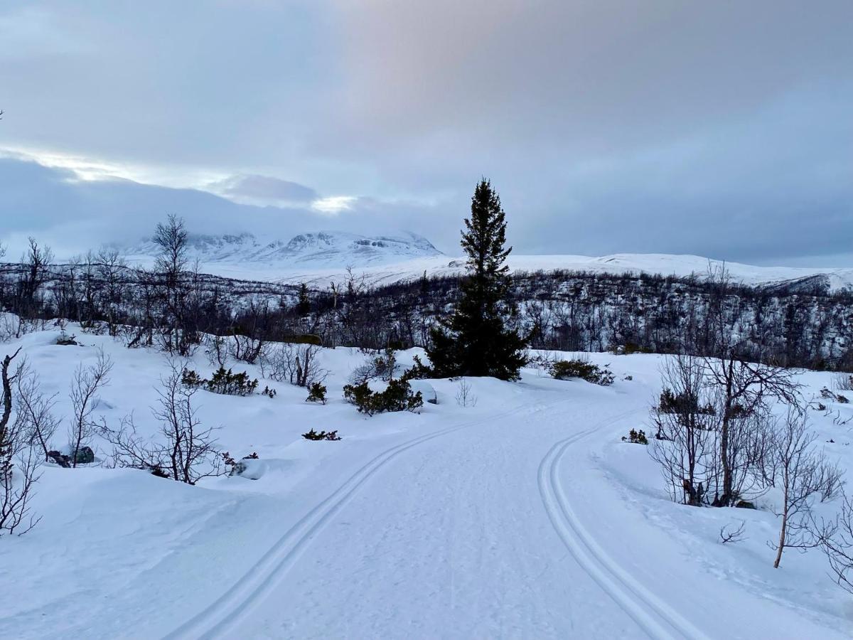 Отель Hakkesetstolen Fjellstugu Гейло Экстерьер фото