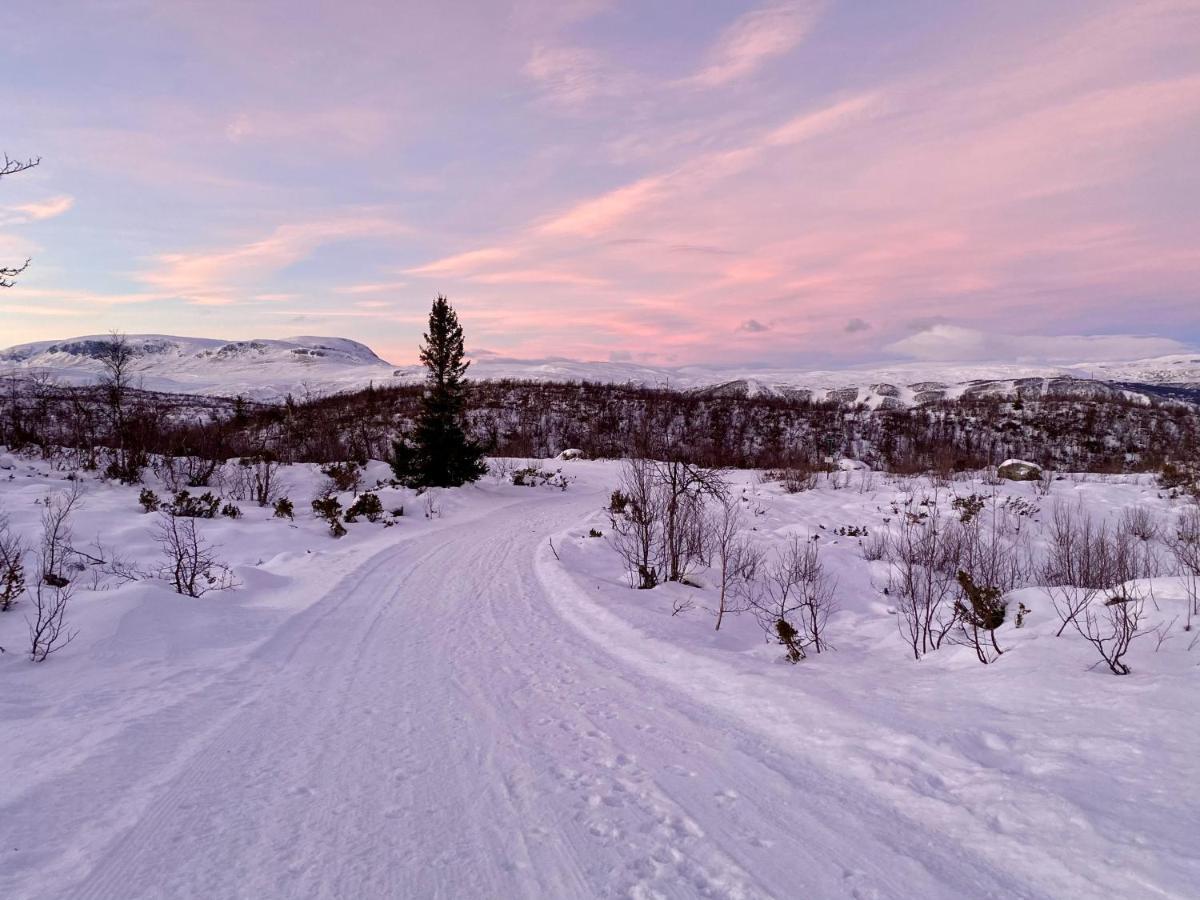 Отель Hakkesetstolen Fjellstugu Гейло Экстерьер фото